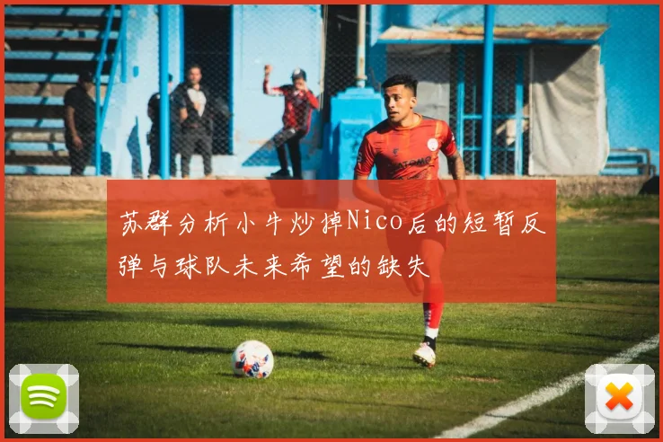 苏群分析小牛炒掉Nico后的短暂反弹与球队未来希望的缺失