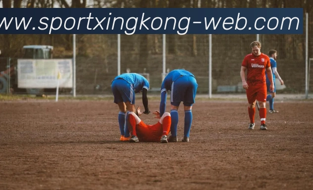 星空体育APP 封面图